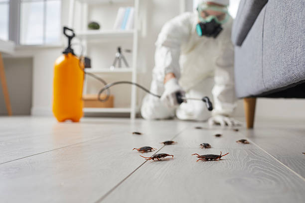 Commercial Kitchen Cockroach Control in Moreland Hills